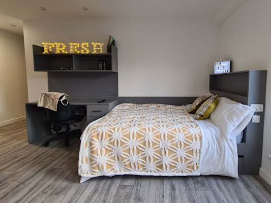 Premium Plus Studio room type